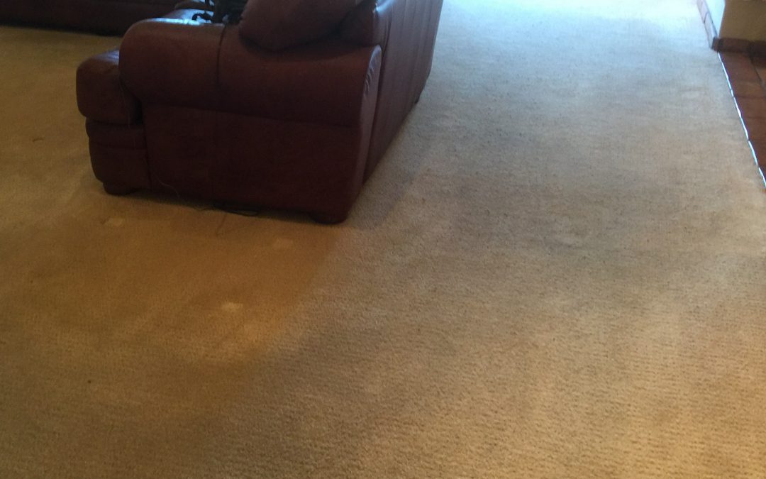 Paradise Valley: Carpet Cleaning Service