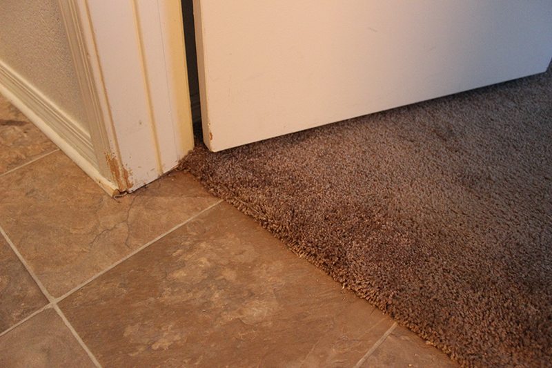 Phoenix, AZ: Patterned Carpet Repair
