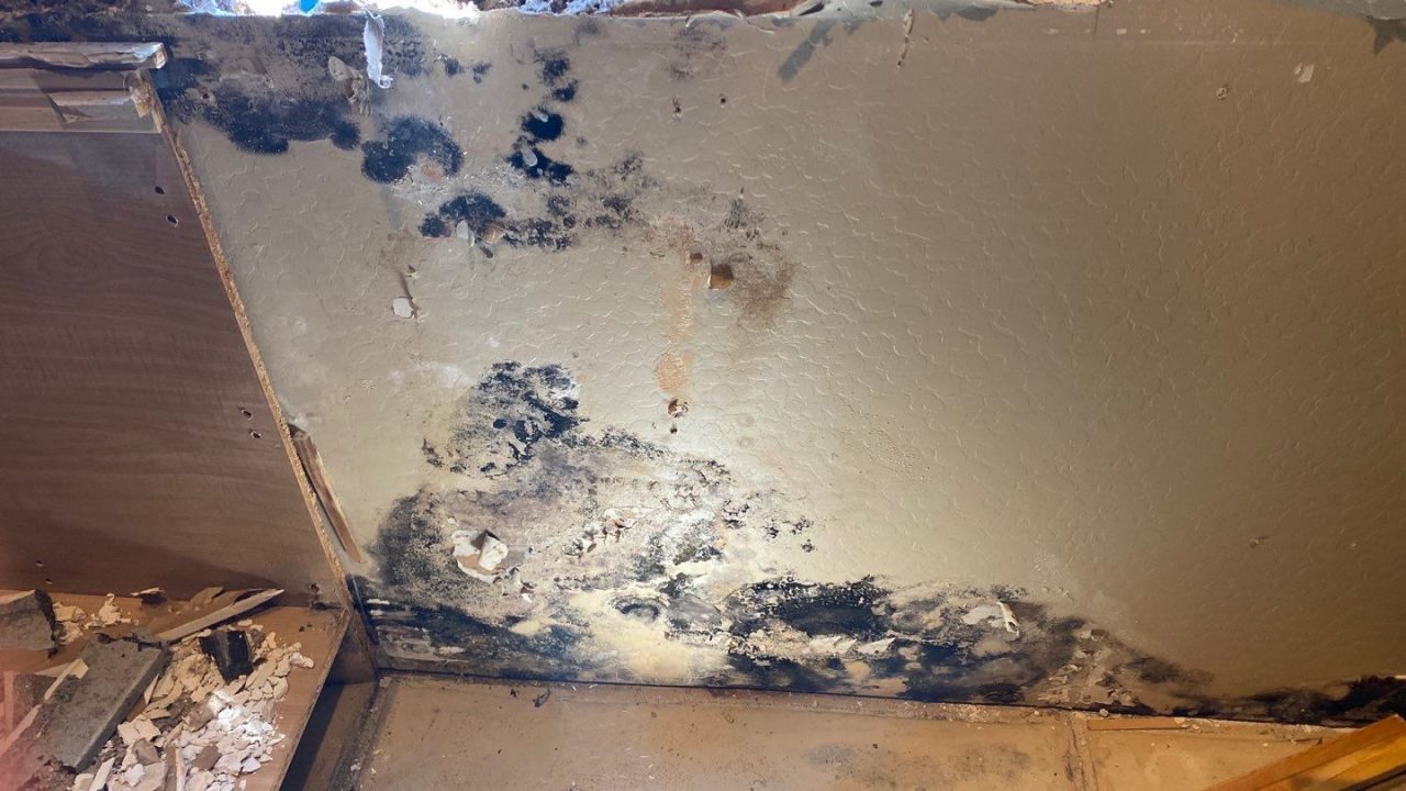 Water Damage Mold Clean Up Phoenix Carpet Repair