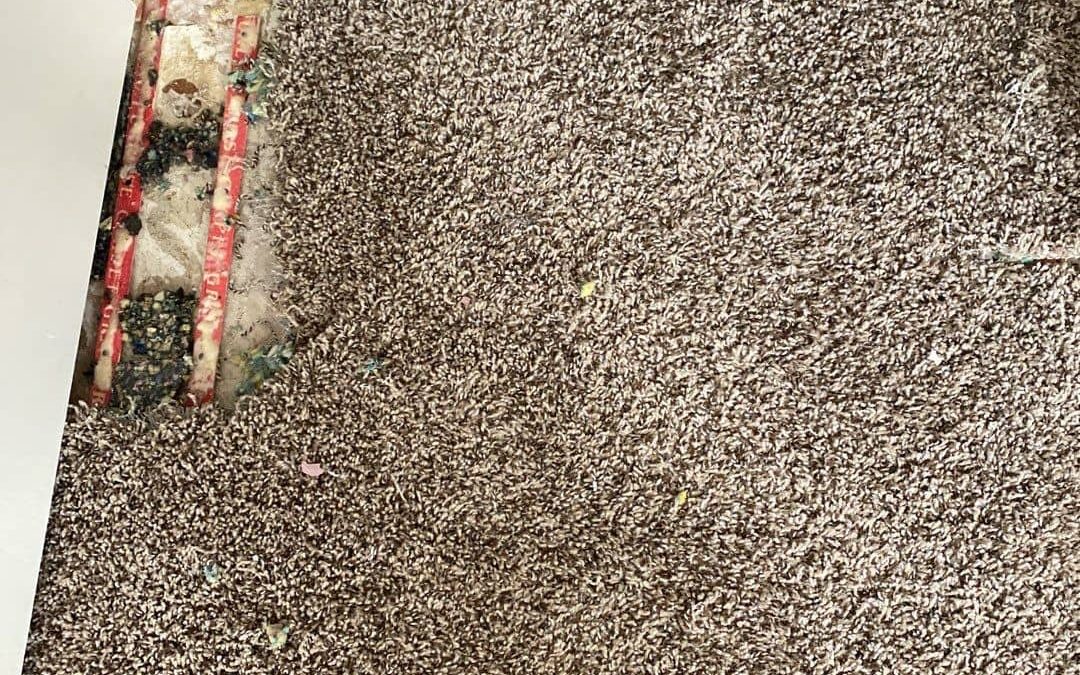 Goodyear, AZ Carpet Repair