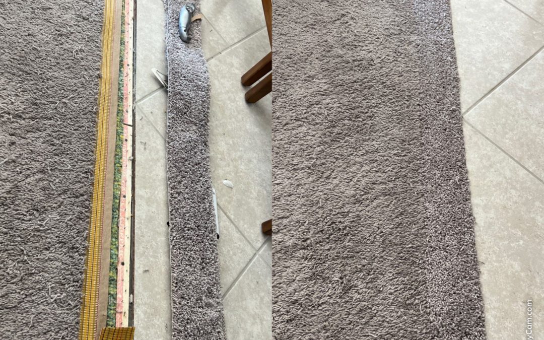 Carpet Repair: Mesa, AZ