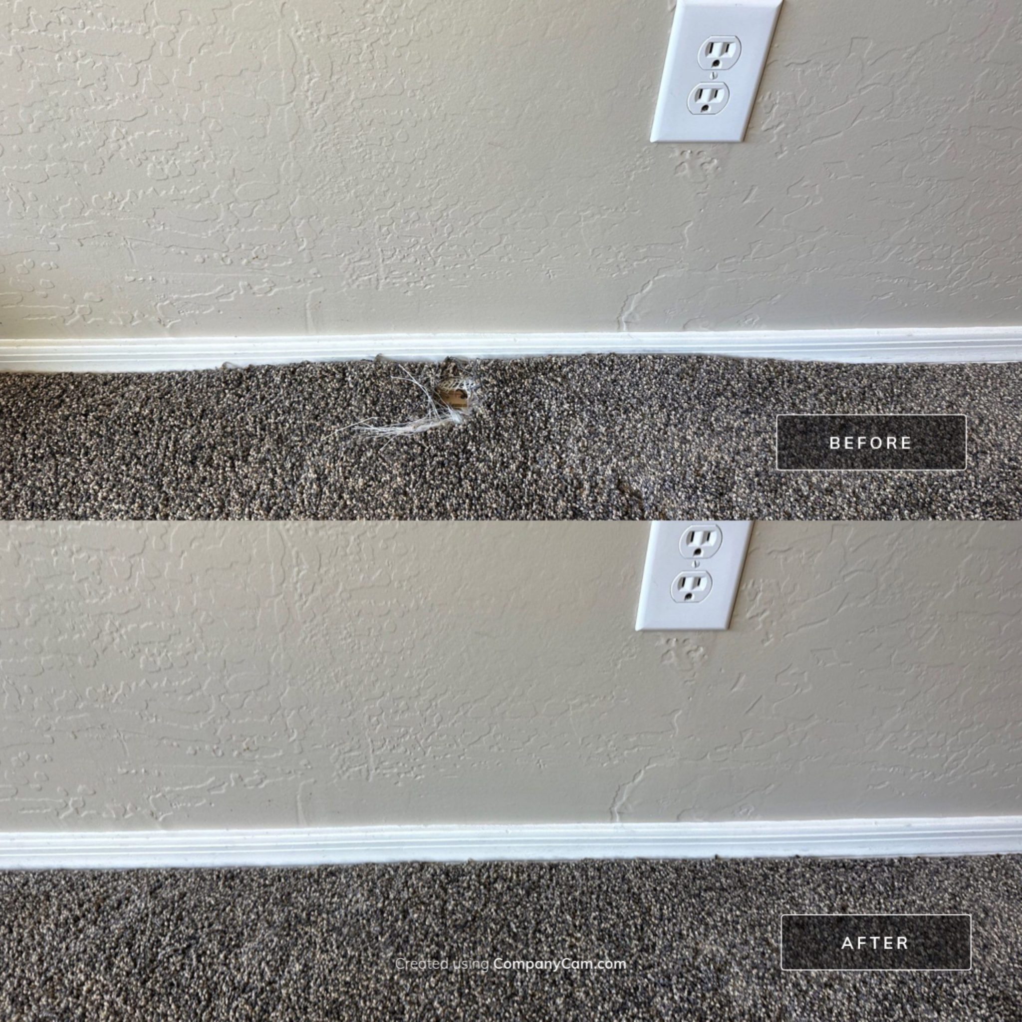 Carpet Repair Experts Share the Top 5 Things Phoenix Locals Need to ...