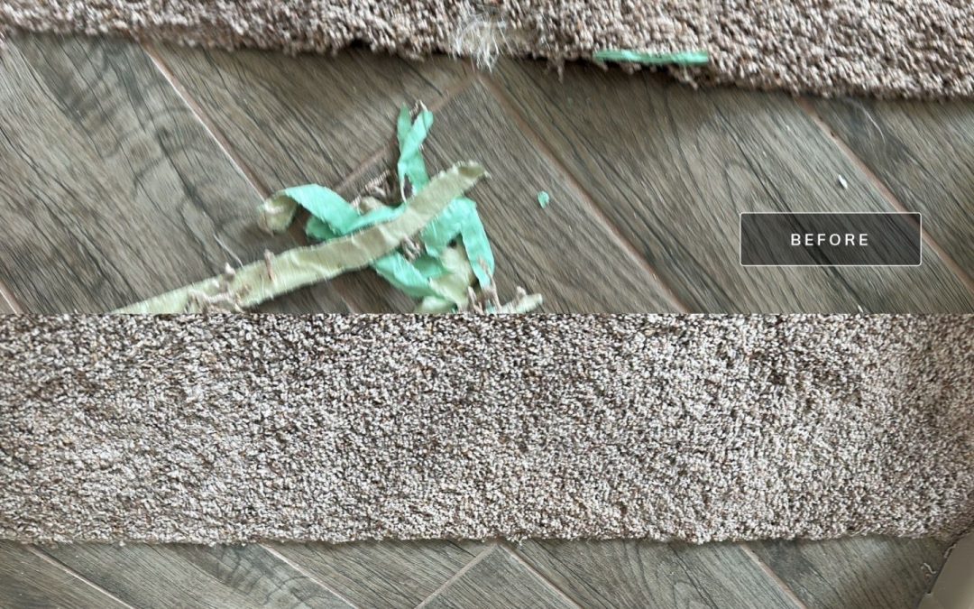 Carpet Damage from Dogs Chewing Prompts Phoenix Homeowners to Call Professional Carpet Repair Company