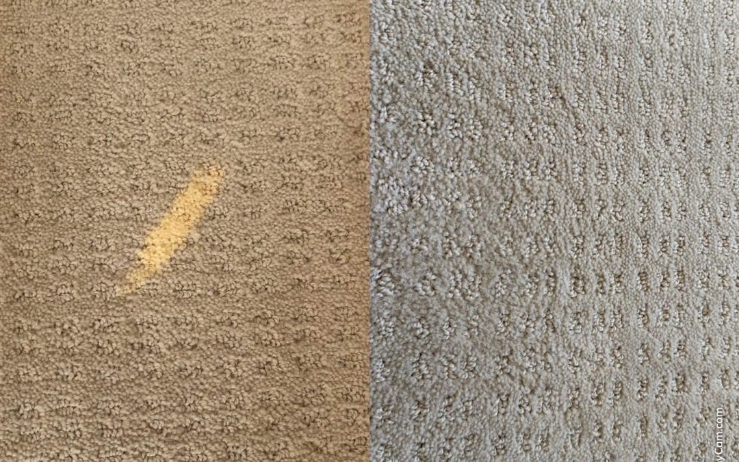 Saving the Day: Our Technician’s Marvelous Carpet Repair After a Bleach Spill