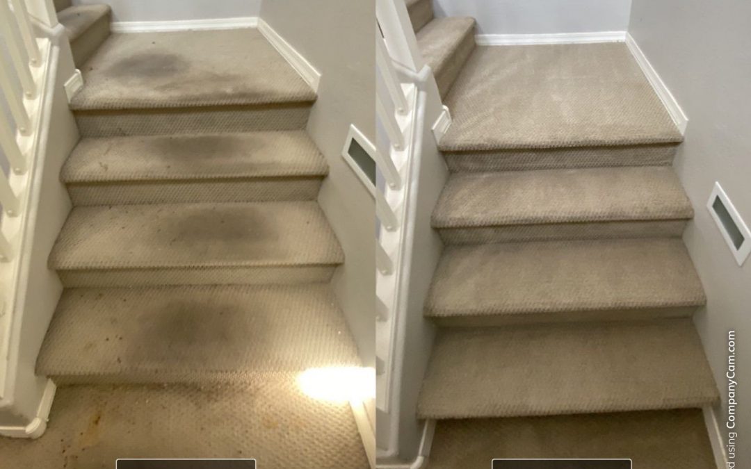 Elevating Elegance: Restoring Heavily Soiled and Stained Carpeted Stairs
