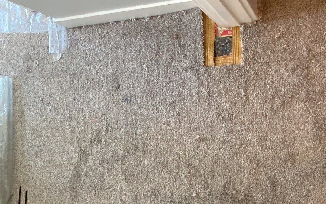 Seamless Solutions: Transforming Doorway Woes with Expert Carpet Repair