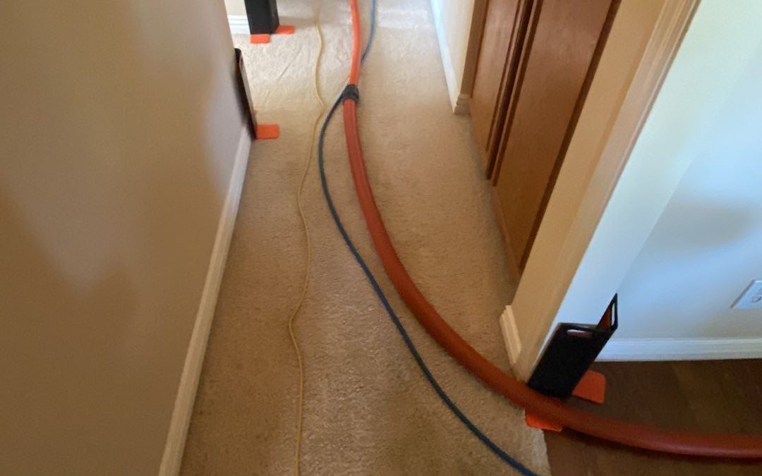 The Unseen Heroes of Carpet Cleaning – Corner Guards
