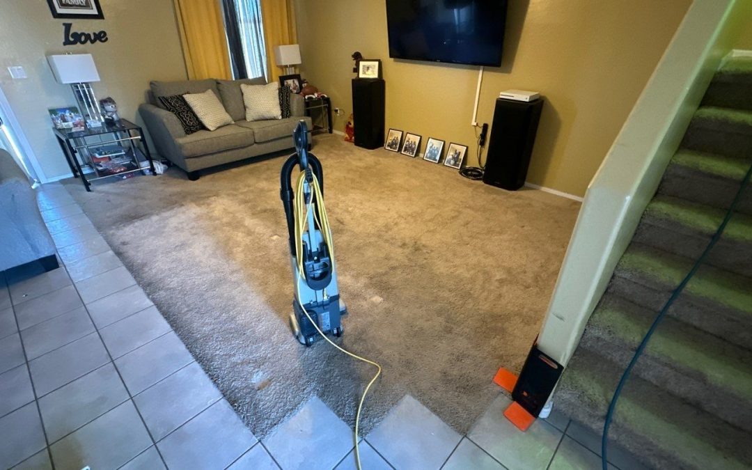 Revitalize Your Space: The Transformative Magic of Professional Living Room Carpet Cleaning