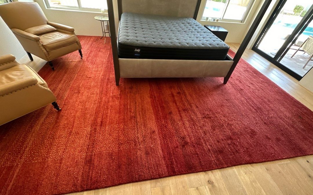 Sprouting: What Happens After Your Area Rugs are Cleaned
