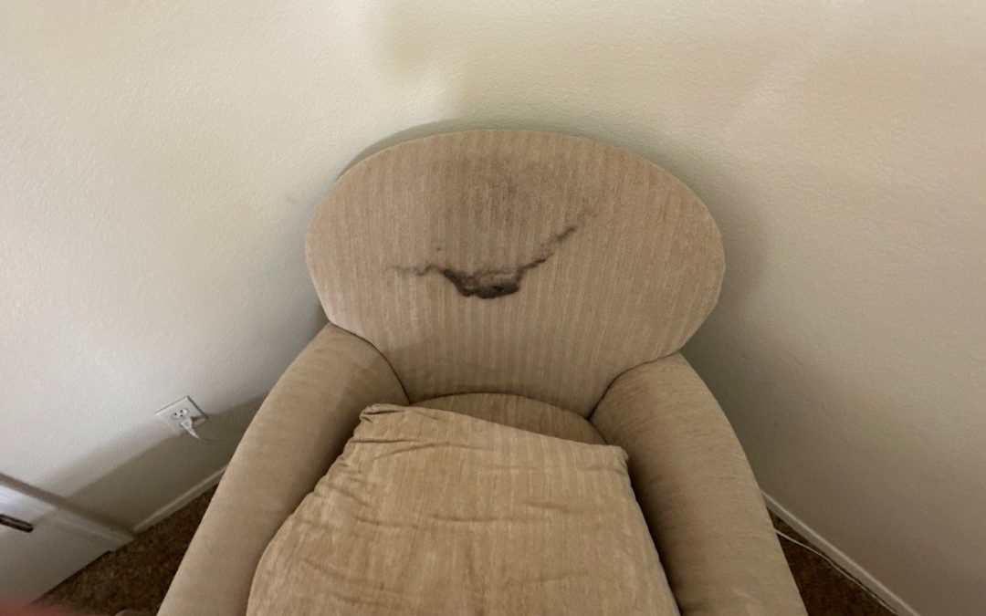 Restoring Comfort With Upholstery Cleaning