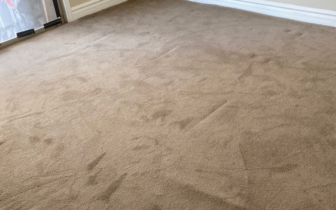 Say Goodbye to Ripples: The Power of Carpet Stretching