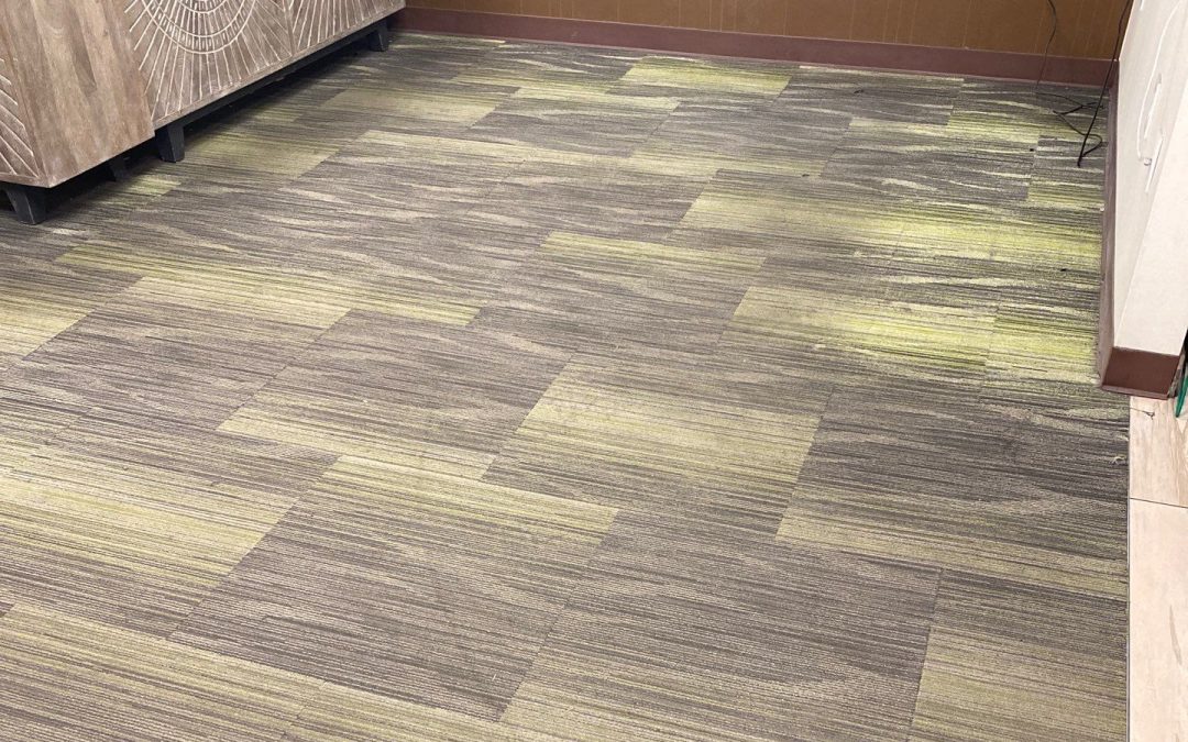 Revitalize Your Business Lobby with Professional Commercial Carpet Cleaning
