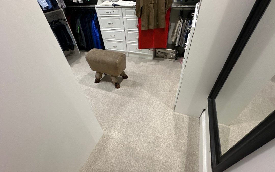 Transforming Your Space: Professional Carpet Cleaning in an Arizona Walk-In Closet