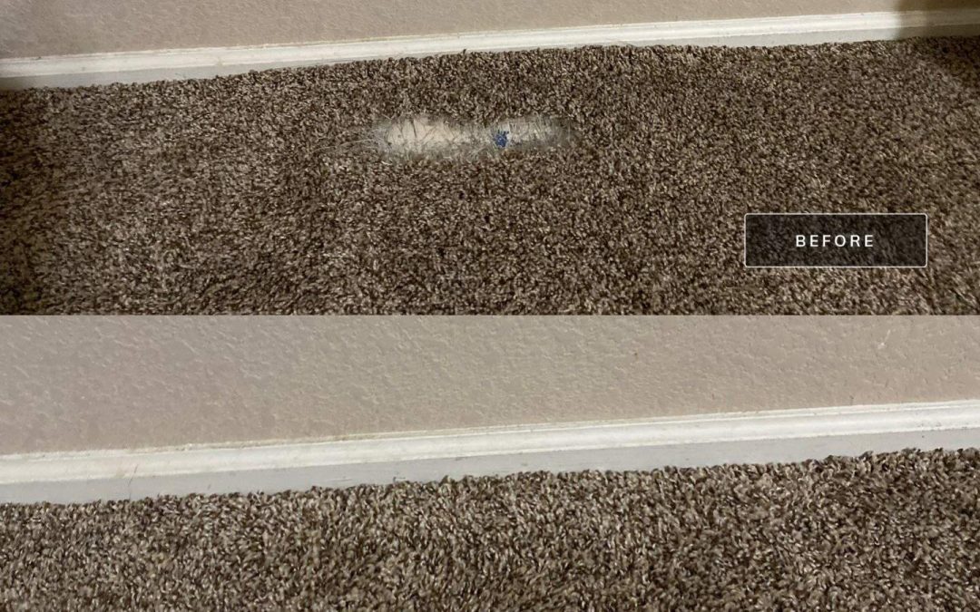 Restoring Comfort and Beauty to Damaged Carpet