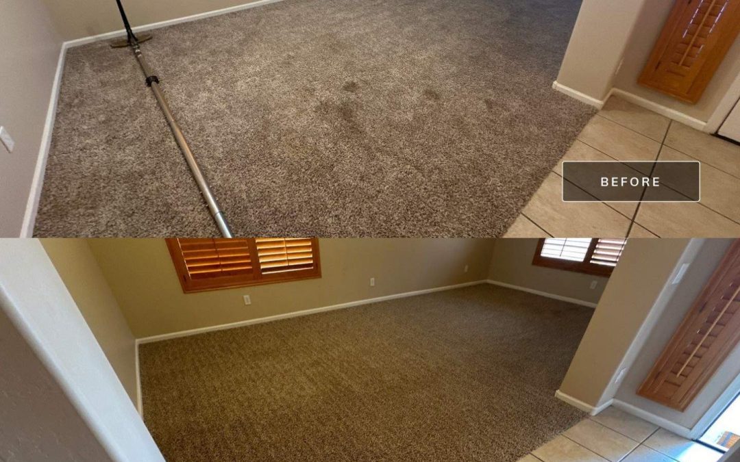 Reviving Comfort: Transforming a New Home with Expert Carpet Stretching and Cleaning