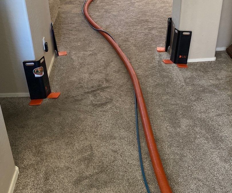 Protecting Your Home with Corner Guards: The Extra Step in Professional Carpet Cleaning