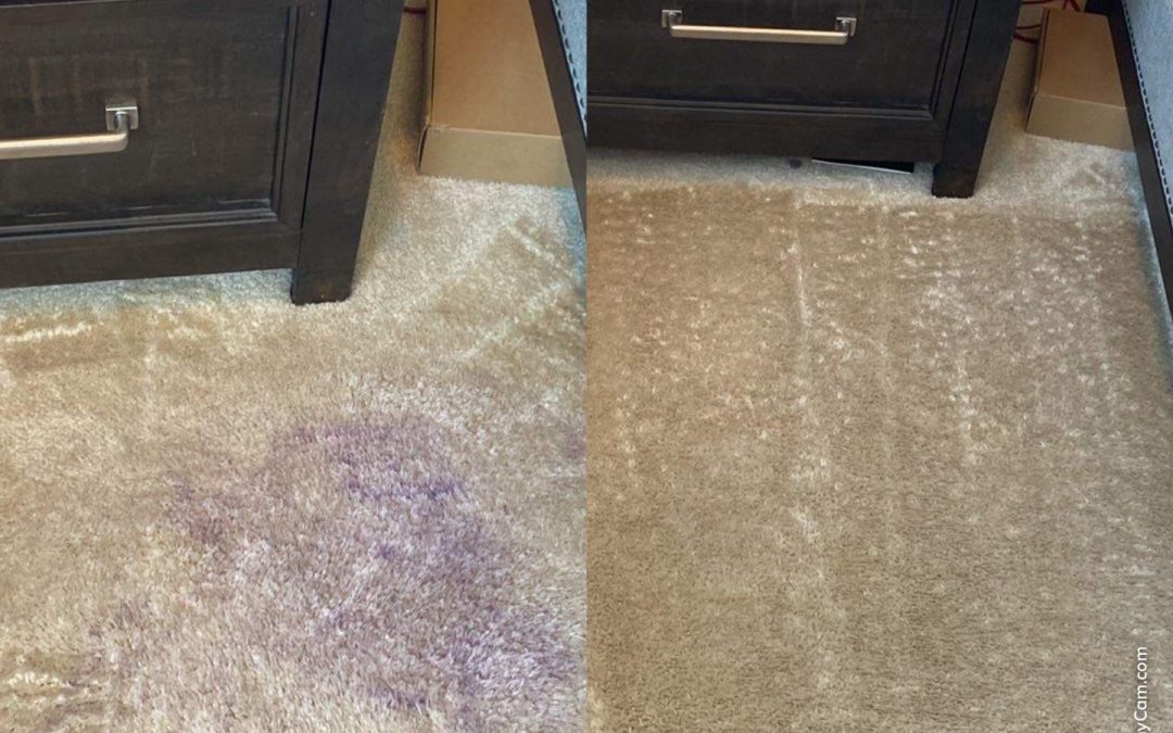 Restoring Your Carpet After a Grape Juice Spill: A Success Story