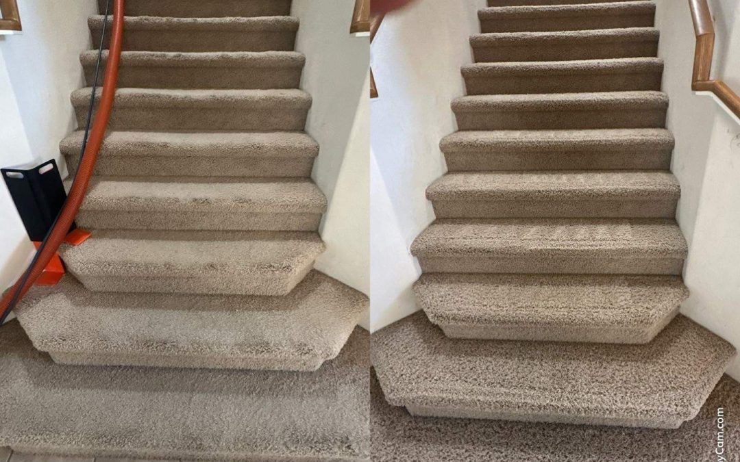 Revitalize Your Home with Carpet Cleaning from Phoenix Carpet Repair & Cleaning