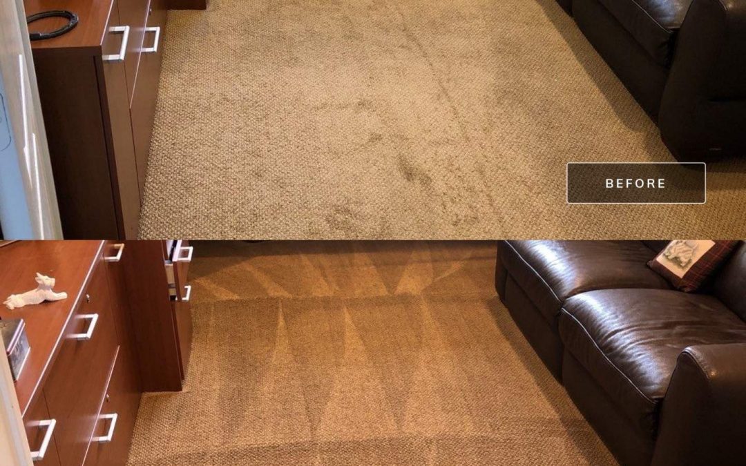 Revitalize Your Home with Professional Carpet Cleaning from Phoenix Carpet Repair & Cleaning