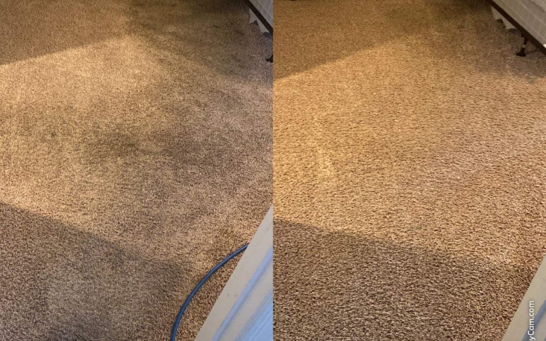 New Year, Fresh Start: Renew Your Home with Professional Carpet Cleaning