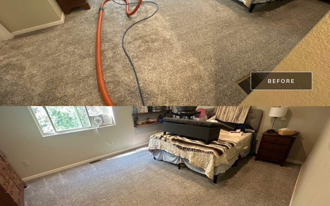 Revitalize Your Home with Professional Carpet Cleaning in Phoenix, AZ