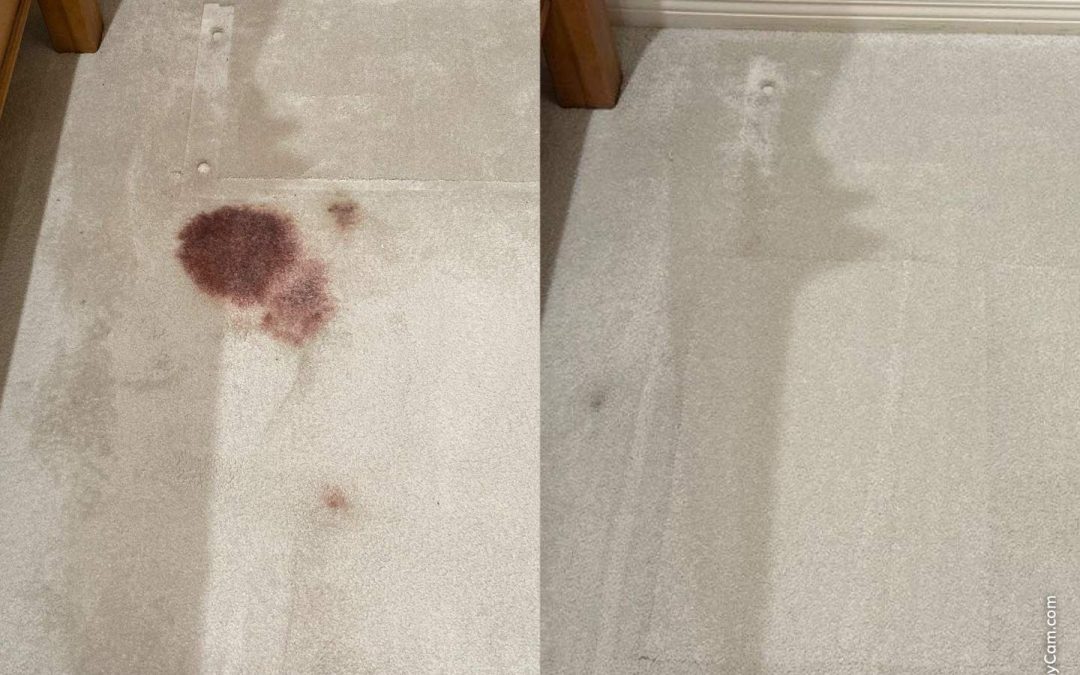 Carpet Repair in Phoenix: Removing Permanent Blood Stains