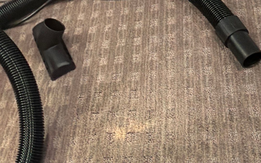 Bleach Spots on Carpet? Repair or Dye?