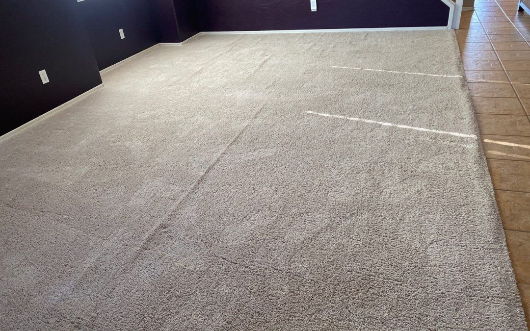 Carpet Ripples Removed with Power Stretching in Anthem, AZ