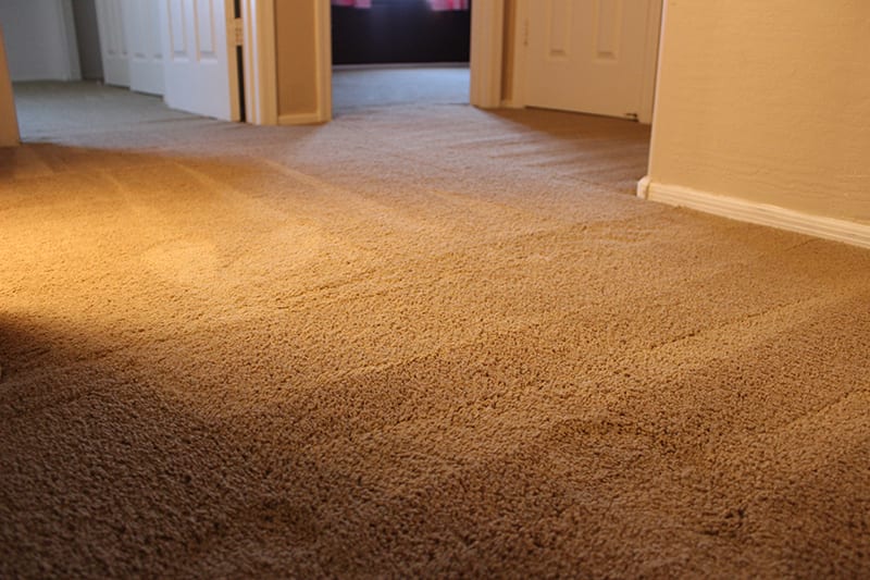 Stretcher carpet 3 foot 20 foot adj rentals Phoenix AZ